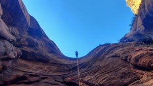 Nomadic Neighborsleave today for Zion National Park, a view pictured here.